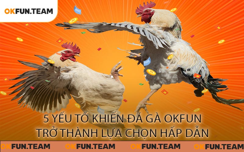 5 yếu tố khiến Đá Gà OKFUN trở thành lựa chọn hấp dẫn