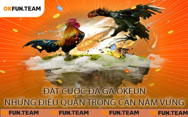 Đặt cược Đá Gà OKFUN – Những điều quan trọng cần nắm vững